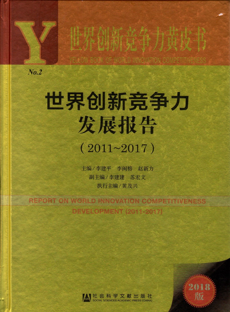 大逼逼影院看看逼世界创新竞争力发展报告（2011-2017）